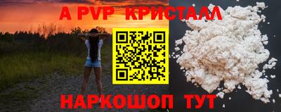 стафф Моздок