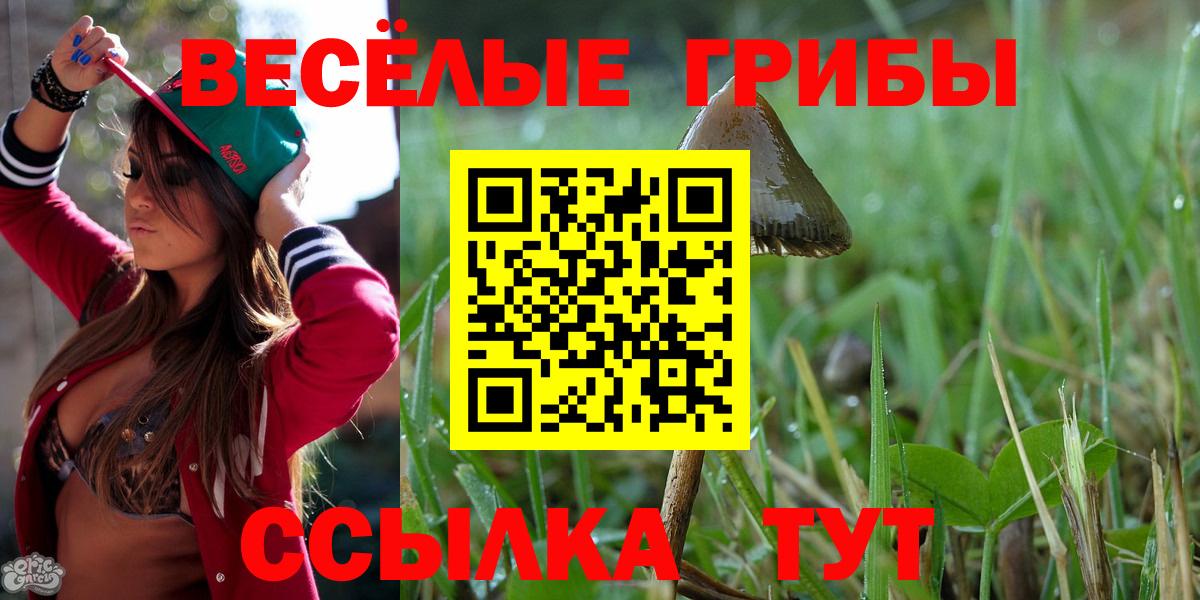 Галлюциногенные грибы ЛСД Анапа