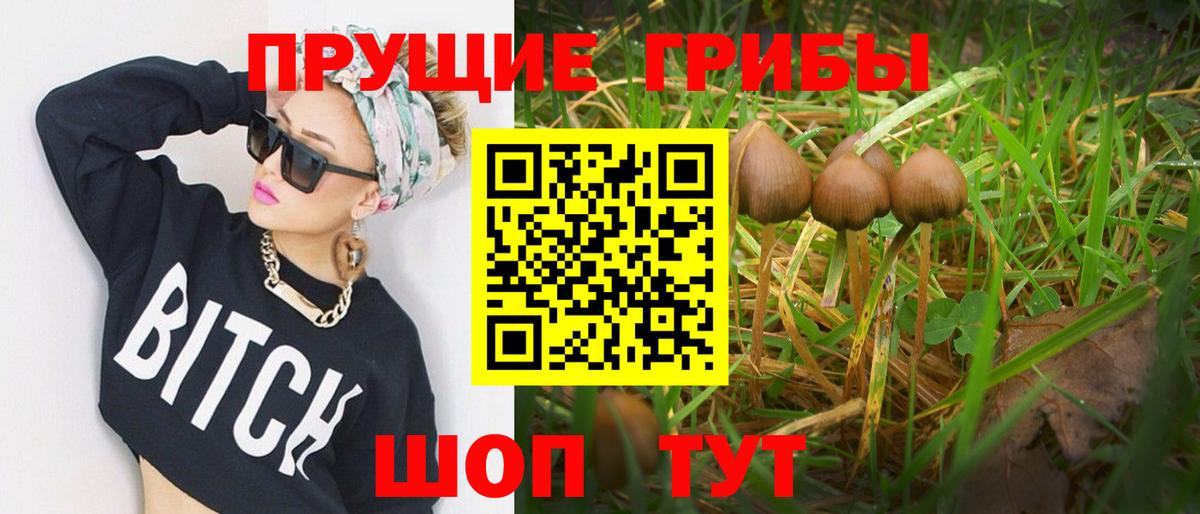 Анапа  Галлюциногенные грибы Cubensis  Вход с VPN 